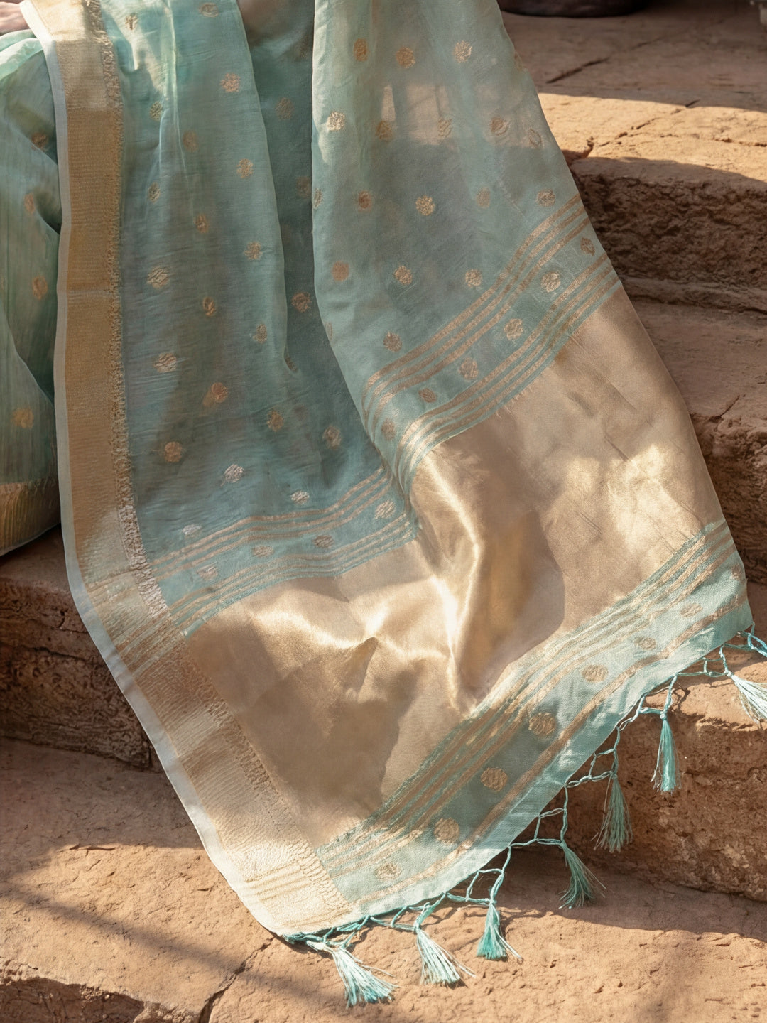 Zari Woven Banarasi Organza Saree