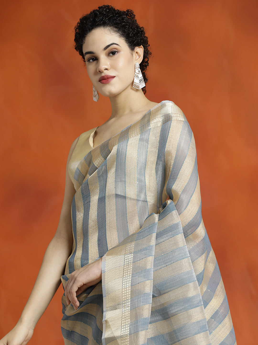 Grey Striped Embellished Banarasi Organza Saree