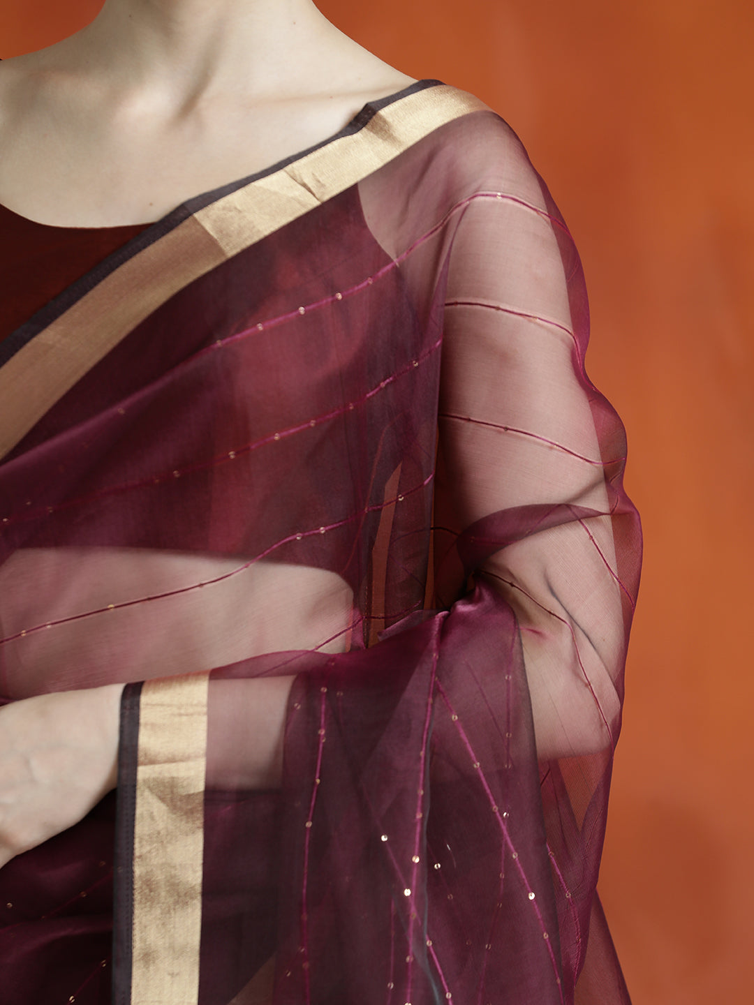 Sequin Embellished Banarasi Organza Saree