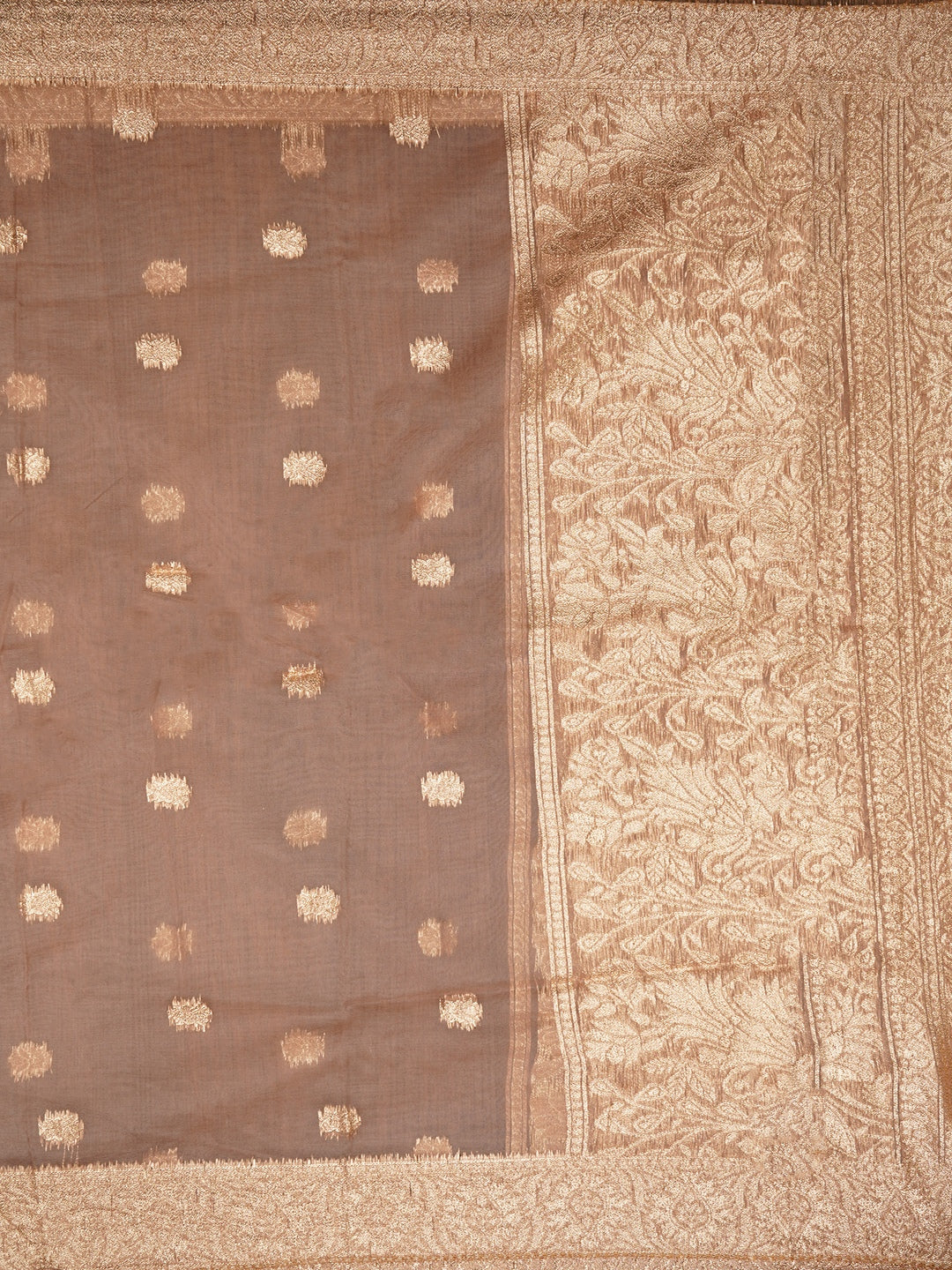 Beige Embellished Floral Printed Organza Dress Material with Dupatta